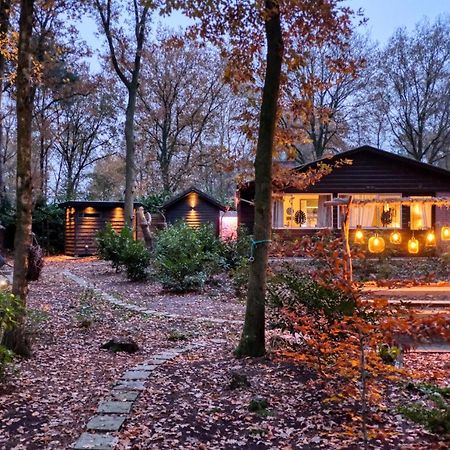 Lodge In Een Bosrijke Omgeving Met Hottub & Sauna Opt Rheezerveen Exterior photo
